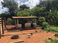 Fazenda / Sítio / Chácara com 6 Quartos à venda, 550m² no , Igarapé - Foto 47