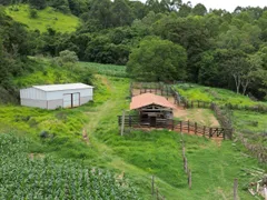 Fazenda / Sítio / Chácara com 4 Quartos à venda, 1350000m² no Zona Rural, Botelhos - Foto 12