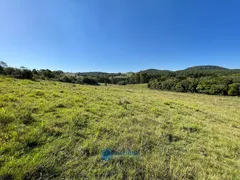 Fazenda / Sítio / Chácara à venda, 80m² no Vila Seca, Caxias do Sul - Foto 21