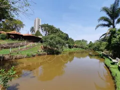 Fazenda / Sítio / Chácara com 4 Quartos à venda, 12669m² no Centro, Araraquara - Foto 8