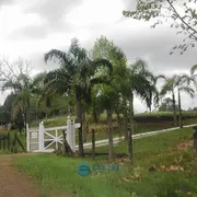 Fazenda / Sítio / Chácara com 4 Quartos à venda, 31000m² no Vila Seca, Caxias do Sul - Foto 28