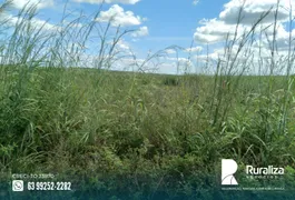 Fazenda / Sítio / Chácara à venda, 4840m² no Zona Rural, Presidente Kennedy - Foto 9