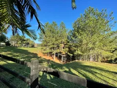 Fazenda / Sítio / Chácara com 3 Quartos à venda, 40000m² no Centro, Cocal do Sul - Foto 7