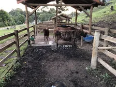 Fazenda / Sítio / Chácara com 6 Quartos à venda, 15000m² no Vale Da Figueira, Maricá - Foto 4