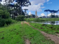 Terreno / Lote / Condomínio à venda no Contenda, São José dos Pinhais - Foto 11