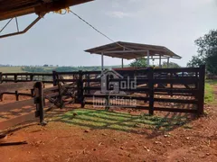 Fazenda / Sítio / Chácara à venda, 363000m² no Zona Rural, Pirassununga - Foto 14
