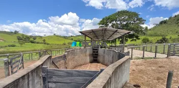 Fazenda / Sítio / Chácara com 1 Quarto à venda, 423m² no Zona Rural, Campo Belo - Foto 4