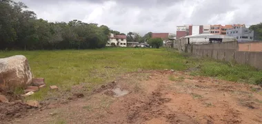 Terreno / Lote / Condomínio à venda, 5910m² no Martinica, Viamão - Foto 2