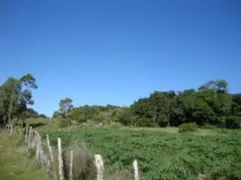 Terreno / Lote / Condomínio à venda, 5000m² no Chapéu do Sol, Porto Alegre - Foto 12