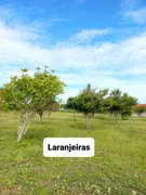 Fazenda / Sítio / Chácara com 3 Quartos à venda, 12000m² no Zona Rural, Lagoa de Pedras - Foto 3