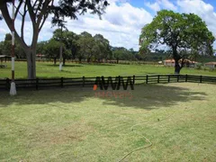 Fazenda / Sítio / Chácara à venda, 160000000m² no , Fortuna - Foto 6