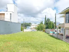 Terreno / Lote Comercial à venda, 480m² no Juriti, Nova Petrópolis - Foto 3
