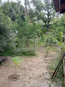 Fazenda / Sítio / Chácara com 2 Quartos à venda, 120m² no Angola, Santa Branca - Foto 9
