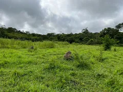 Fazenda / Sítio / Chácara com 5 Quartos à venda, 100m² no Zona Rural, Nossa Senhora do Livramento - Foto 14