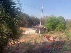 Fazenda / Sítio / Chácara com 2 Quartos à venda, 12000m² no Zona Rural, Mandirituba - Foto 2