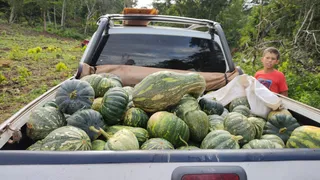 Fazenda / Sítio / Chácara à venda no Zona Rural, Rosário Oeste - Foto 10