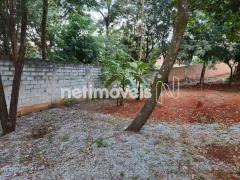 Terreno / Lote Comercial à venda, 1280m² no Garças, Belo Horizonte - Foto 7