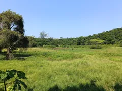 Fazenda / Sítio / Chácara à venda, 75000m² no Ilha de Guaratiba, Rio de Janeiro - Foto 4