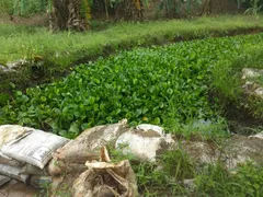 Fazenda / Sítio / Chácara com 2 Quartos à venda, 2500m² no Area Rural de Vitoria do Santo Antao, Vitória de Santo Antão - Foto 61