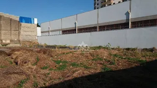 Terreno / Lote / Condomínio para alugar, 300m² no VILA VIRGINIA, Ribeirão Preto - Foto 8