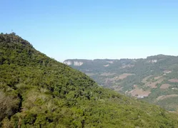 Fazenda / Sítio / Chácara com 1 Quarto à venda, 20000m² no Zona Rural, Caxias do Sul - Foto 17