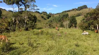 Fazenda / Sítio / Chácara com 3 Quartos à venda, 363000m² no Bairro Alto, Natividade da Serra - Foto 1