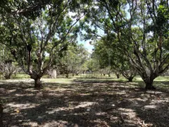 Fazenda / Sítio / Chácara com 3 Quartos à venda, 75000m² no Centro, Pindoretama - Foto 3