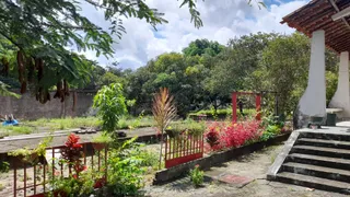 Fazenda / Sítio / Chácara com 5 Quartos à venda, 5000m² no Forquilha, São José de Ribamar - Foto 10