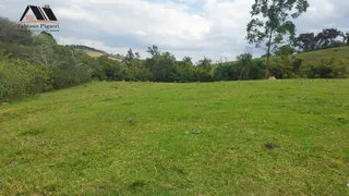 Fazenda / Sítio / Chácara com 2 Quartos à venda, 200m² no Zona Rural, Tuiuti - Foto 6