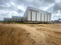 Galpão / Depósito / Armazém para alugar, 12000m² no Pinhal, Cabreúva - Foto 33