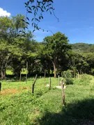 Fazenda / Sítio / Chácara com 6 Quartos à venda, 144720m² no Itapecirica, Taubaté - Foto 14
