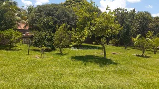 Fazenda / Sítio / Chácara com 2 Quartos à venda, 140m² no Recanto Sao Lucas Zona Rural, São José do Rio Preto - Foto 17