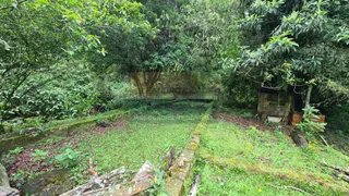 Fazenda / Sítio / Chácara com 1 Quarto à venda, 3000m² no Jardim Krahe, Viamão - Foto 8