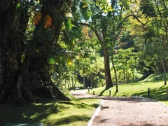 Casa de Condomínio com 6 Quartos para alugar, 460m² no Loteamento Alphaville Campinas, Campinas - Foto 47