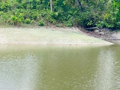 Fazenda / Sítio / Chácara com 4 Quartos à venda, 144000m² no Zona Rural, Faina - Foto 55