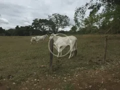 Fazenda / Sítio / Chácara com 3 Quartos à venda, 180m² no , Piracanjuba - Foto 11