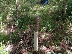 Fazenda / Sítio / Chácara à venda, 20000m² no Zona Rural, Taquaraçu de Minas - Foto 12