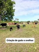 Fazenda / Sítio / Chácara com 3 Quartos à venda, 12000m² no Zona Rural, Lagoa de Pedras - Foto 9