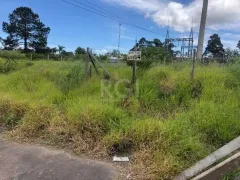 Terreno / Lote / Condomínio à venda, 127m² no Restinga, Porto Alegre - Foto 7