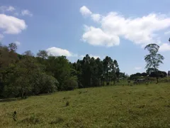 Fazenda / Sítio / Chácara com 2 Quartos à venda, 169400m² no Centro, Piracaia - Foto 1