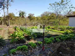 Fazenda / Sítio / Chácara com 5 Quartos à venda, 6000m² no Centro, Inhaúma - Foto 10