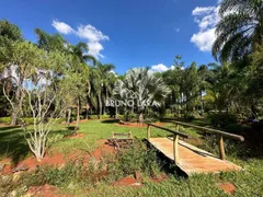 Fazenda / Sítio / Chácara com 9 Quartos à venda, 32000m² no Central, Mateus Leme - Foto 40