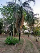 Fazenda / Sítio / Chácara com 2 Quartos à venda, 5000m² no Terra de Sao Lucas Zona Rural, São José do Rio Preto - Foto 19