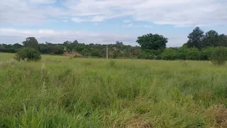 Fazenda / Sítio / Chácara à venda, 1716m² no Saltinho, Elias Fausto - Foto 3