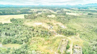 Terreno / Lote Comercial à venda, 291000m² no Campina, São José dos Pinhais - Foto 17