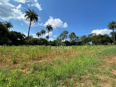 Fazenda / Sítio / Chácara com 3 Quartos à venda, 200m² no , Mateus Leme - Foto 23