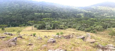 Fazenda / Sítio / Chácara com 2 Quartos à venda, 20000m² no Zona Rural, Urubici - Foto 39