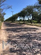 Terreno / Lote / Condomínio à venda, 300m² no Furnas, Balneário Gaivota - Foto 9