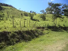 Fazenda / Sítio / Chácara com 3 Quartos à venda no Providencia, Teresópolis - Foto 19