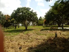 Fazenda / Sítio / Chácara com 2 Quartos à venda, 13000m² no Caboto, Candeias - Foto 7